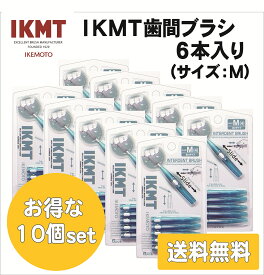 IKMT 歯間ブラシ M サイズ 6本入 携帯用 お得な10ヶセット 送料無料 スライド式 持ち運び 歯科 オーラルケア 口腔ケア イケモト 折れにくい ながもち 旧 KNT 7310