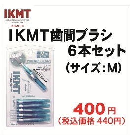 【Mサイズ】 IKMT 歯間ブラシ 6本入 携帯用 スライド式 歯科 オーラルケア 歯間 ブラシ ながもち エコ IKT-7310 耐久性 折れにくい 旧 KNT 7310 単品