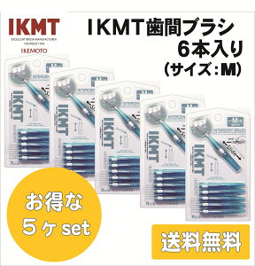 土曜日も発送★ IKMT 歯間ブラシ M サイズ 6本入 お得な5ヶセット 携帯用 送料無料 スライド式 持ち運び 歯科 オーラルケア 口腔ケア イケモト 折れにくい ながもち 旧 KNT 7310