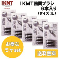 土曜日も発送★ IKMT 歯間ブラシ L サイズ 6本入 お得な5ヶセット 携帯用 送料無料 スライド式 持ち運び …