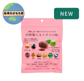 百年はちみつのど飴 《 紀州梅＆ルイボス味 》 だいじょうぶなもの 紀州梅とルイボスの飴 51g 個包装 たかくら新産業 のど飴 キャンディ 梅肉エキス てんさい糖 ギルトフリー お返し お礼 プチギフト
