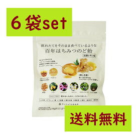 《 お得な6袋セット 》 百年はちみつのど飴 〈 生姜レモン味 〉 レザーウッドハニー＋ハーブキャンディ 51g×6袋セット だいじょうぶなもの たかくら新産業 ギルトフリー お返し お礼 プチギフト 送料無料 ZIPで紹介 テレビ