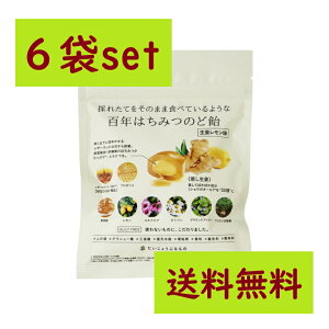 y  z SN݂͂̂ǈ qIr U[Ebhnj[{n[uLfB 51g×6܃Zbg VY Mgt[ Ԃ  v`Mtg