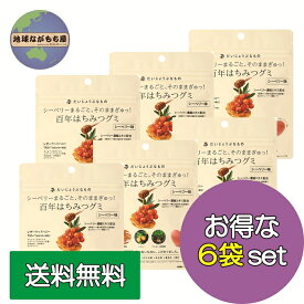 だいじょうぶなもの 百年はちみつグミ シーベリー味 49g×6袋セット たかくら新産業 ギルトフリー 栄養豊富 サジー 安心おやつ ミニギフト 送料無料