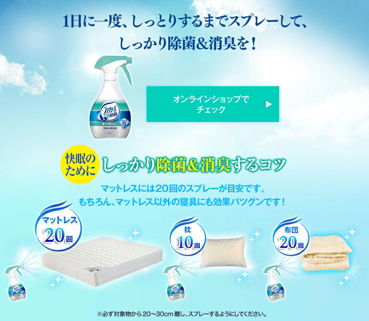 楽天市場 2箱セット 大容量10l P G ファブリーズ 消臭芳香剤 布用 ダブル除菌プラス 10l 2箱 つめかえ用 業務用 沖縄 離島は要別途送料1サイズ 地球雑貨店