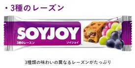 大塚製薬　SOYJOY（ソイジョイ）3種のレーズン　30g×48本