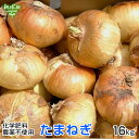 新たまねぎ 16kg 化学肥料・農薬不使用 鹿児島県産 宮崎県産 熊本県産 1個100〜400g タマネギ 玉葱 玉ねぎ オニオン サラダ 生 常温便 onion 発送期間4月〜6月