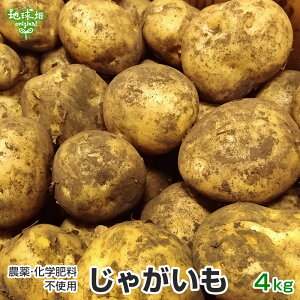 無農薬 じゃがいも イモ類の人気商品 通販 価格比較 価格 Com