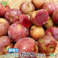 訳あり がらり(すもも) 2kg 鹿児島県産 加工用 B品 化学肥料・農薬不使用 ガラリ 花螺李 いぐりもも スモ…