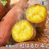 新物 紅はるか 4kg 有機栽培 鹿児島県産 宮崎県産 1本100〜500g 土付き さつまいも 薩摩芋 サツマイモ べ…