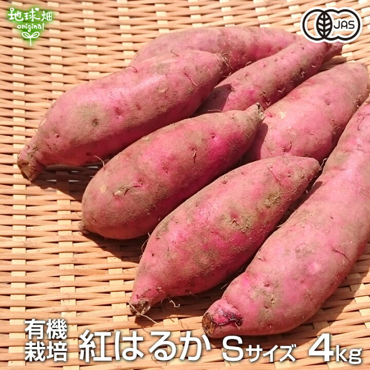 楽天市場 紅はるか S 4kg 有機栽培 鹿児島県産 宮崎県産 土付き さつまいも 薩摩芋 サツマイモ からいも べにはるか 国産 離乳食 無農薬 Organic オーガニック 100g未満のちびっこサイズ 令和4年度産 地球畑