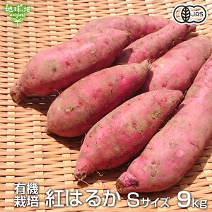g͂邩 S 9kg L@͔| Y {茧Y yt ܂ F Tc}C 炢 ׂɂ͂邩 Y H 100ĝтTCY 2025NY ߘa7NxY