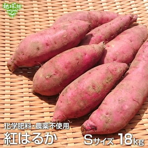 g͂邩 S 18kg w엿E_sgp Y {茧Y yt ܂ ׂɂ͂邩 Ă 100ĝтTCY 2025NY ߘa7NxY