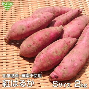 g͂邩 S 2kg w엿E_sgp Y {茧Y yt ܂ ׂɂ͂邩 Ă 100ĝтTCY 2025NY ߘa7NxY