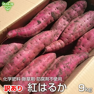 󂠂 g͂邩 9kg _Ew엿sgp Y {茧Y A 킯 Bi yt ܂ Tc}C ׂɂ͂邩 Y _ p