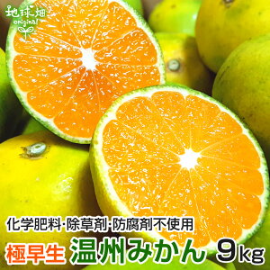 みかん 9kg 特別栽培 温州みかん 鹿児島県産 熊本県産 極早生 大きさおまかせ 化学肥料・除草剤・防腐剤不使用 ミカン 蜜柑