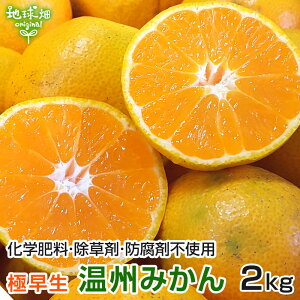 ݂ 2kg ʍ͔| B݂ Y F{Y ɑ 傫܂ w엿E܁Ehܕsgp ~J  