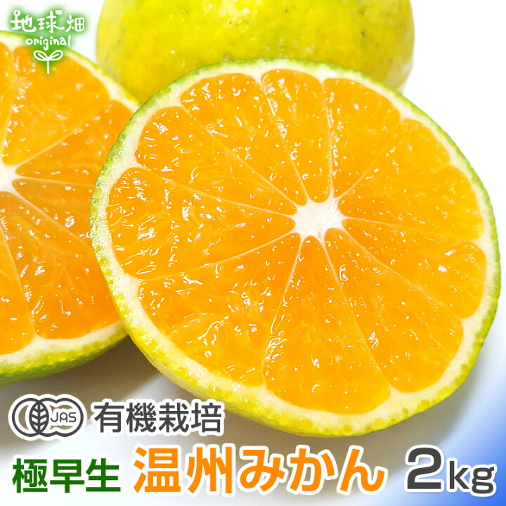 楽天市場 有機栽培 温州みかん 2kg 極早生 熊本県産 鹿児島県産 大きさおまかせ 化学肥料 除草剤 防腐剤不使用 有機jas認定 ミカン 蜜柑 オーガニック 地球畑