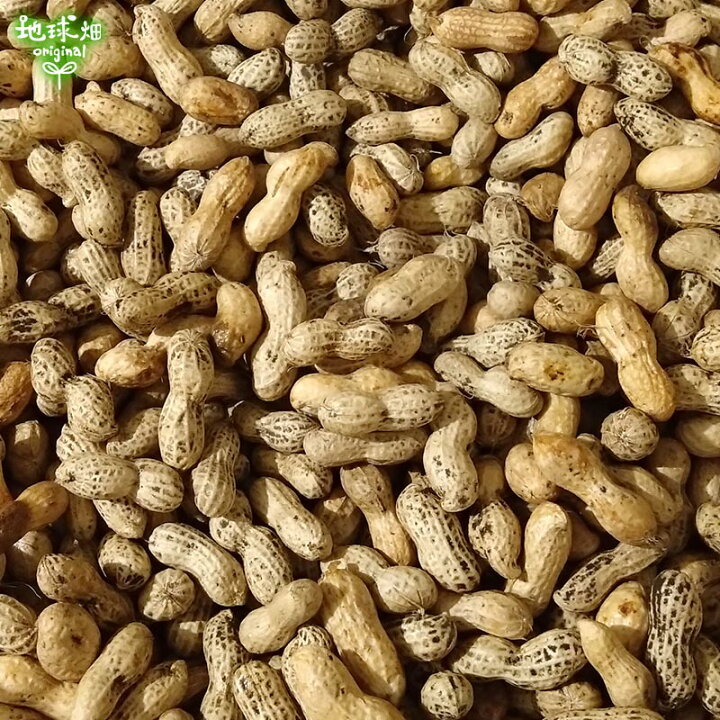 楽天市場】2024年産 生落花生 2kg 有機栽培 鹿児島県産 冷蔵便 生 化学 
