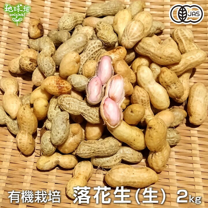 楽天市場】2024年産 生落花生 2kg 有機栽培 鹿児島県産 冷蔵便 生 化学 