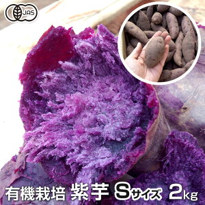  2kg STCY L@͔| Y {茧Y yt  TCY p[vXC[g[h iJTL ނ炳 XC[g|eg Y _ organic 1100g ߘa7NxY 20