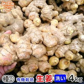 生姜 4kg 有機栽培 冷蔵便 鹿児島県産 宮崎県産 農薬・化学肥料不使用 洗い 生 無農薬 有機JAS 生生姜 しょうが ジンジャー ショウガオール 温活 ひね生姜 2023年産