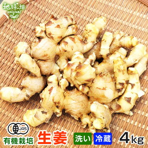 2025年産 新生姜 4kg 有機栽培 冷蔵便 鹿児島県産 宮崎県産 洗い 生 有機JAS 生新生姜 新しょうが 新ショウガ 温活