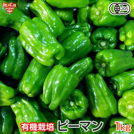 ピーマン 有機栽培 1kg 鹿児島県産 熊本県産 国産 有機JAS 農薬・化学肥料不使用 オーガニック ぴーまん 冷蔵便