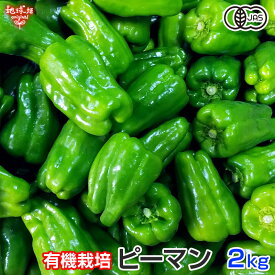 ピーマン 有機栽培 2kg 鹿児島県産 熊本県産 有機JAS 農薬・化学肥料不使用 ぴーまん 青椒肉絲 肉詰め 無農薬 冷蔵便 国産