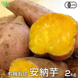 [ 2kg L@͔| Y 1{100`500g yt  ܂ Tc}C ̂ Y L@JAS I[KjbN 2025NY ߘa7NxY