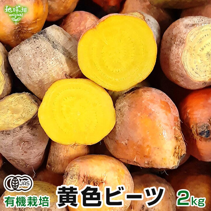 楽天市場 黄色ビーツ 有機栽培 2kg 鹿児島県産 宮崎県産 ルナ テーブルビート ビートルート 火焔菜 サトウダイコン オーガニック 常温 洗い 大きさおまかせ 地球畑