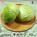 キャベツ(ムキ) 約10kg 有機栽培 冷蔵便 鹿児島県産 6〜10玉入り 大きさおまかせ 自宅用 業務用 まとめ買い 甘藍 きゃ…