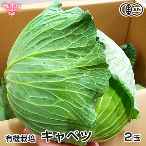 �L���x�c 2�� �L�@�͔| �퉷�� ���������Y 1��700g�ȏ� �L�@JAS ���w�엿�E�_��s�g�p �I�[�K�j�b�N �L�@��� �×� ����ׂ� ��������12���`5����{