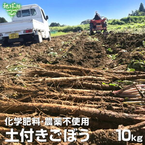 ڂ 10kg w엿E_sgp 퉷 Y {茧Y S{E  yt o Y ҂  育ڂ 6`