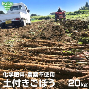 ڂ 20kg w엿E_sgp 퉷 Y {茧Y S{E  yt o Y ܂Ƃߔ Ɩp ҂  6`