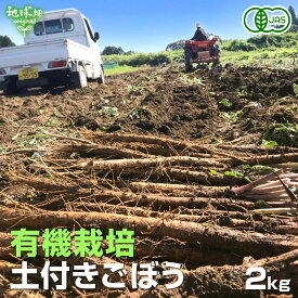 ごぼう 2kg 有機栽培 鹿児島県産 宮崎県産 ゴボウ 牛蒡 JAS 土付き バラ 国産 きんぴら 金平 オーガニック 常温便 発送期間5月下旬〜