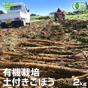 y9/4`9/11zڂ 2kg L@͔| ① Y {茧Y S{E  w엿E_sgp yt o Y ҂  I[KjbN 育ڂ _ 6` yVX