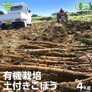 ڂ 4kg L@͔| ① Y {茧Y S{E  w엿E_sgp yt o Y ҂  I[KjbN organic _ 6`