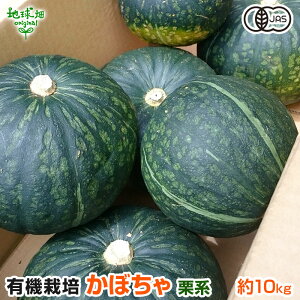 L@ڂ 10kg(4`10) Y {茧Y F{Y Ini L@͔| L@JAS Z I[KjbN J{` pumpkin squash 싞 _ 6{`7 11{`1