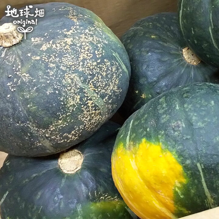 楽天市場】かぼちゃ 約5kg(2〜5玉) 化学肥料・農薬不使用 鹿児島県産 
