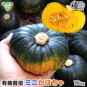 L@~jڂ 16kg(20`38) ~jZ ʓZ L@͔| Y w엿E_sgp L@JAS I[KjbN 7`8