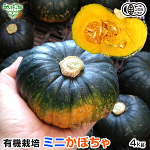 L@~jڂ 4kg(6`10) ~jZ ʓZ L@͔| Y w엿E_sgp L@JAS I[KjbN