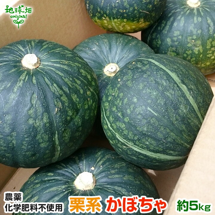 楽天市場】かぼちゃ 約5kg(2〜5玉) 化学肥料・農薬不使用 鹿児島県産 