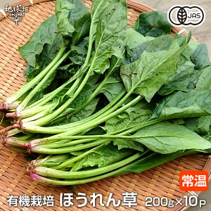 ق 200g×10P L@͔| 퉷 Y {茧Y F{ w엿E_sgp I[KjbN organic zE\E