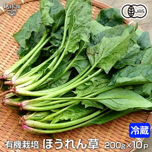 ق 200g×10P L@͔| ① Y {茧Y F{ w엿E_sgp I[KjbN organic zE\E