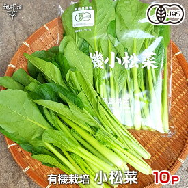 小松菜 150g×10P 有機栽培 鹿児島県産 無農薬 オーガニック organic こまつな コマツナ 冷蔵便
