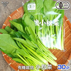 小松菜 150g×30P 有機栽培 鹿児島県産 無農薬 オーガニック organic こまつな コマツナ 冷蔵便