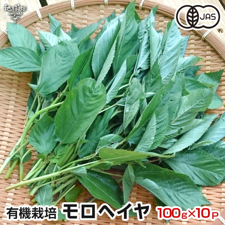 楽天市場 モロヘイヤ 100g 10p 有機栽培 鹿児島県産 無農薬 オーガニック Organic もろへいや シマツナソ 冷蔵便 地球畑