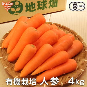 lQ 4kg L@͔| 퉷 Y {茧Y L@JASF  ɂ񂶂 jW organic w엿E_sgp Ai Gi lQW[X 12`6