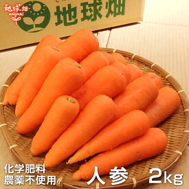 人参 2kg 冷蔵便 化学肥料・農薬不使用 鹿児島県産 宮崎県産 洗い にんじん ニンジン 人参ジュース用 発送期間2月〜4月